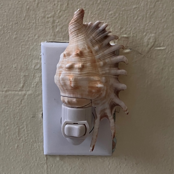 Natural Seashell Night Light Plug-in - Picture 1 of 3